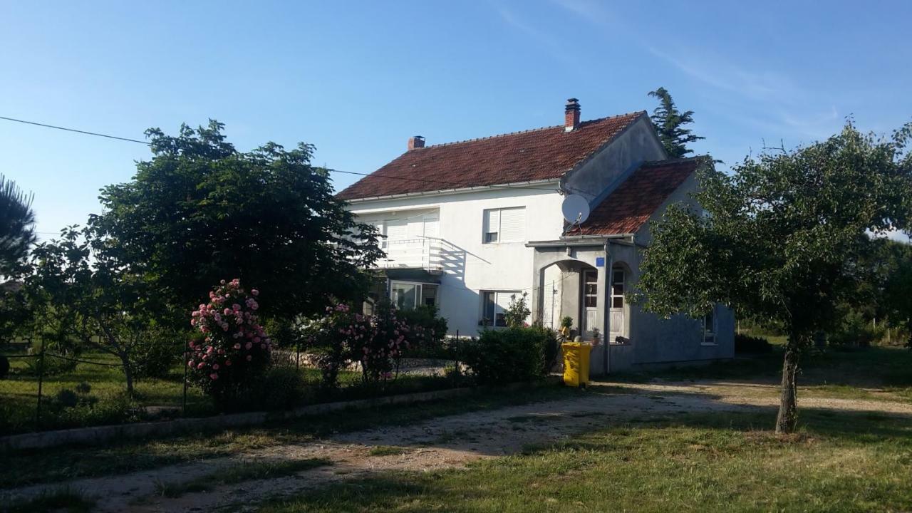 Apartment Brigitte Vrsi Bagian luar foto