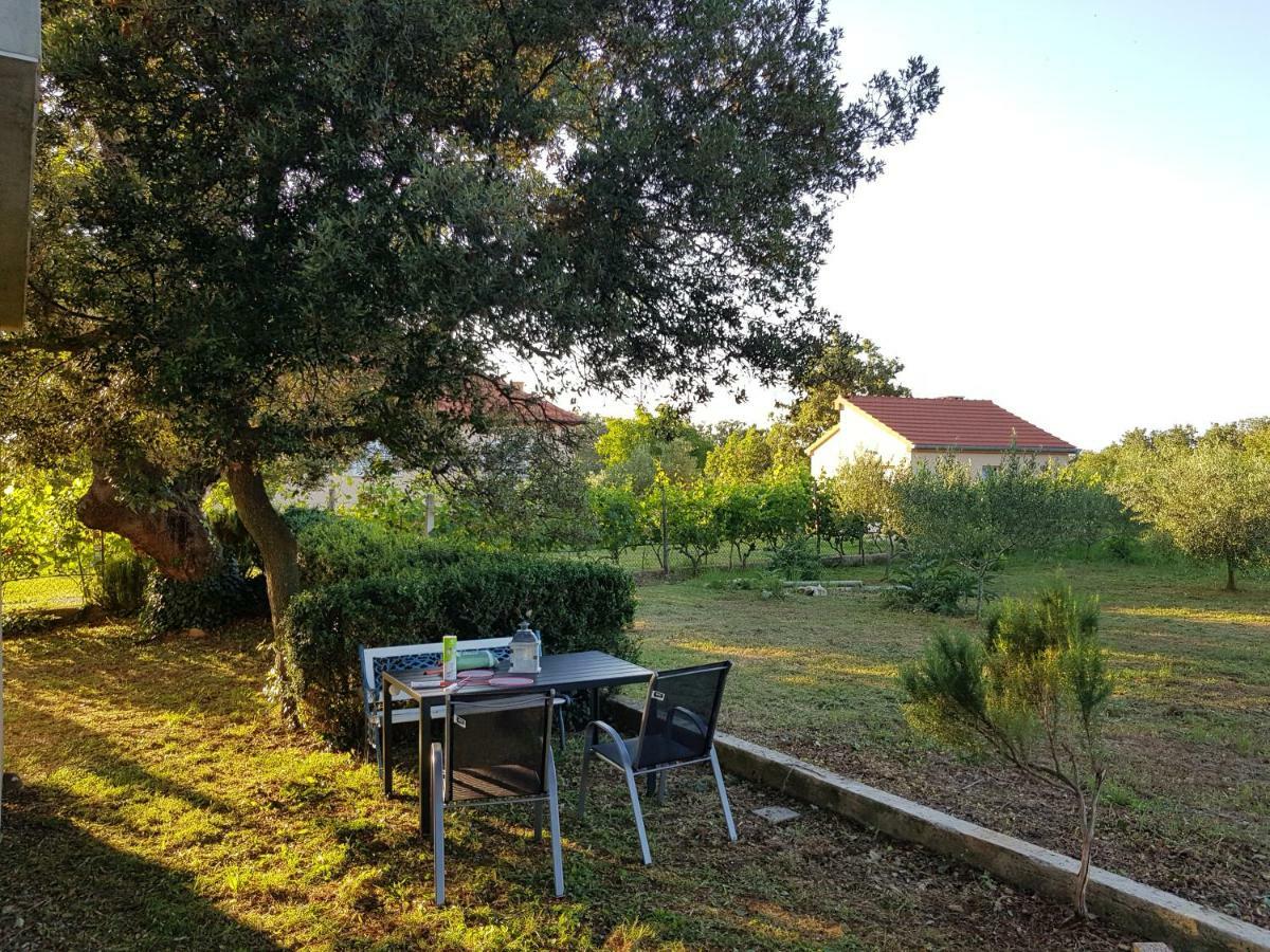 Apartment Brigitte Vrsi Bagian luar foto