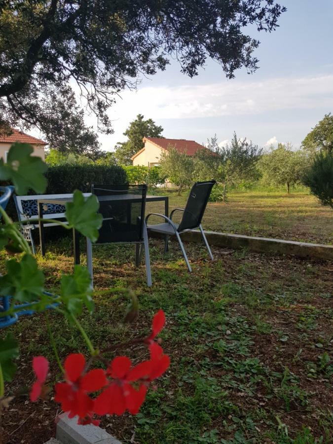 Apartment Brigitte Vrsi Bagian luar foto